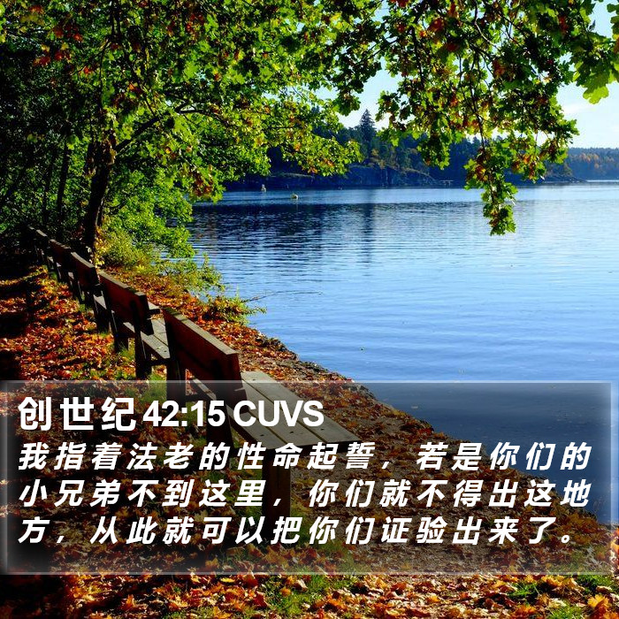 创 世 纪 42:15 CUVS Bible Study