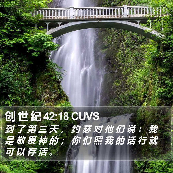 创 世 纪 42:18 CUVS Bible Study