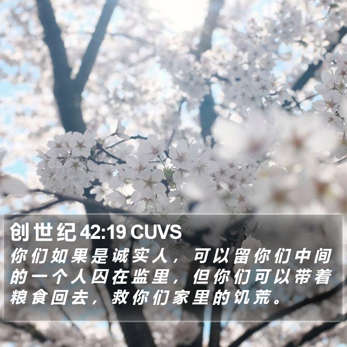 创 世 纪 42:19 CUVS Bible Study