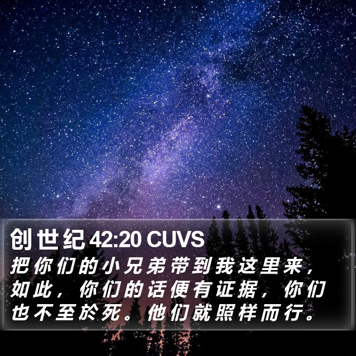 创 世 纪 42:20 CUVS Bible Study