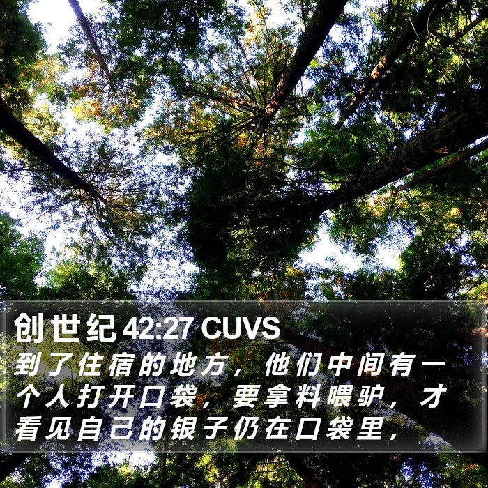 创 世 纪 42:27 CUVS Bible Study