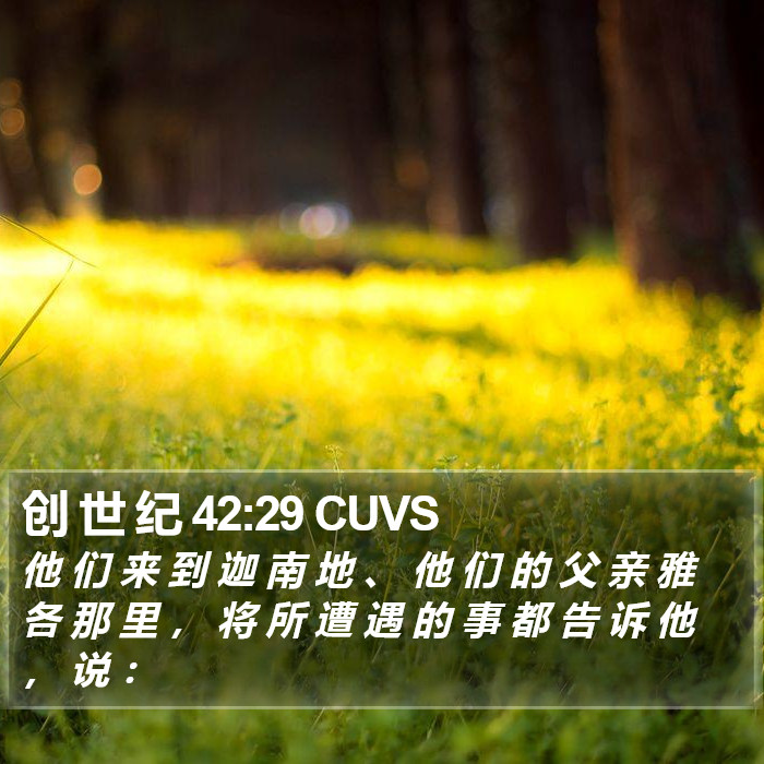 创 世 纪 42:29 CUVS Bible Study