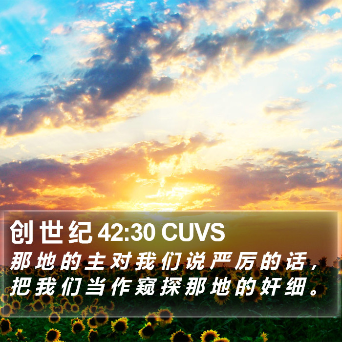 创 世 纪 42:30 CUVS Bible Study