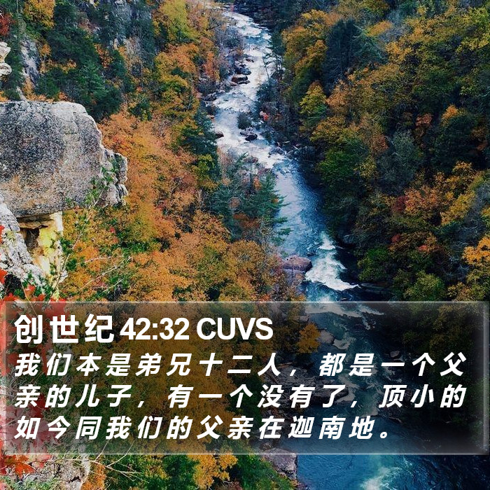 创 世 纪 42:32 CUVS Bible Study