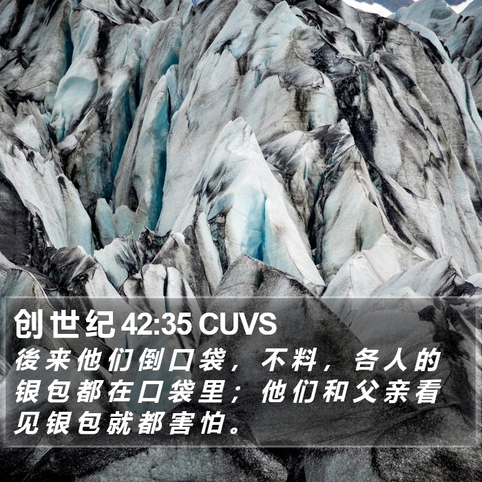 创 世 纪 42:35 CUVS Bible Study