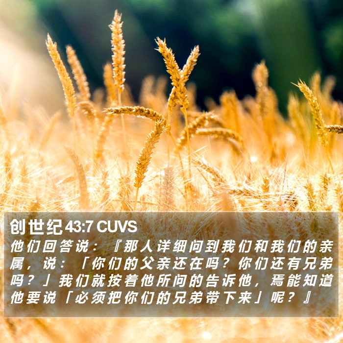 创 世 纪 43:7 CUVS Bible Study