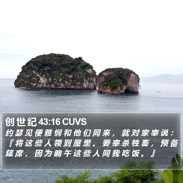 创 世 纪 43:16 CUVS Bible Study
