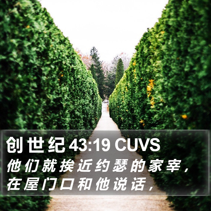 创 世 纪 43:19 CUVS Bible Study