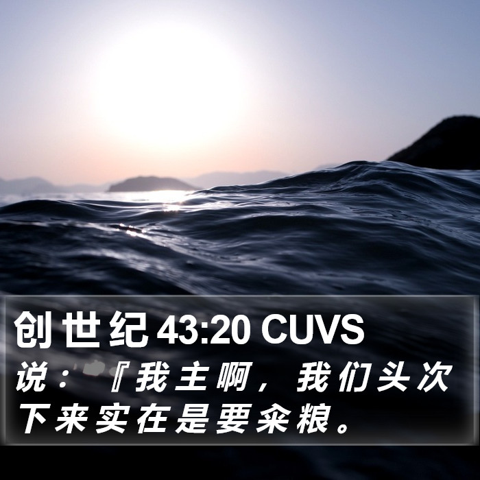 创 世 纪 43:20 CUVS Bible Study