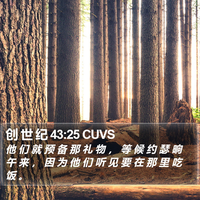 创 世 纪 43:25 CUVS Bible Study