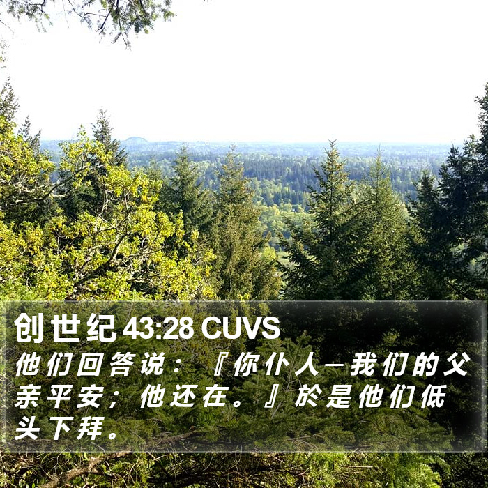 创 世 纪 43:28 CUVS Bible Study
