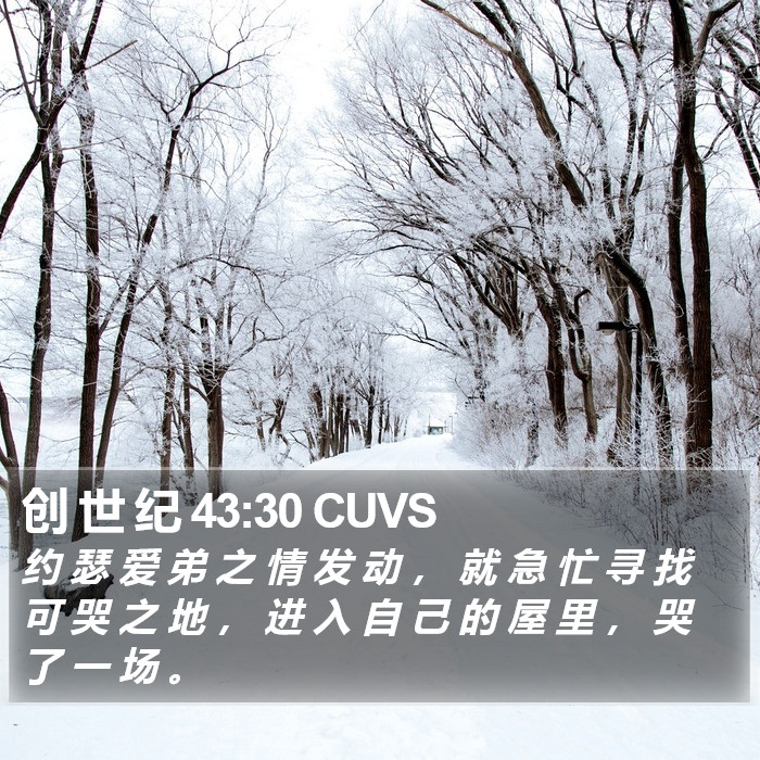 创 世 纪 43:30 CUVS Bible Study