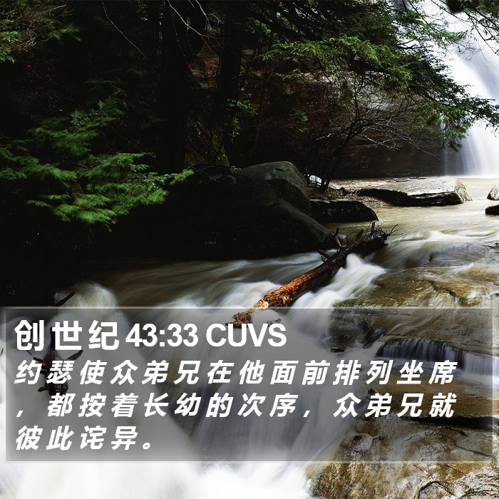 创 世 纪 43:33 CUVS Bible Study