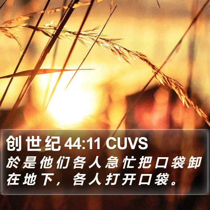 创 世 纪 44:11 CUVS Bible Study