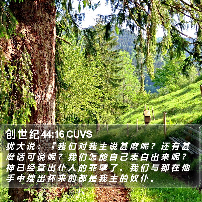 创 世 纪 44:16 CUVS Bible Study