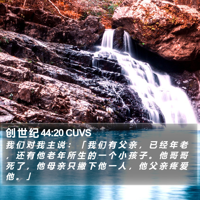 创 世 纪 44:20 CUVS Bible Study