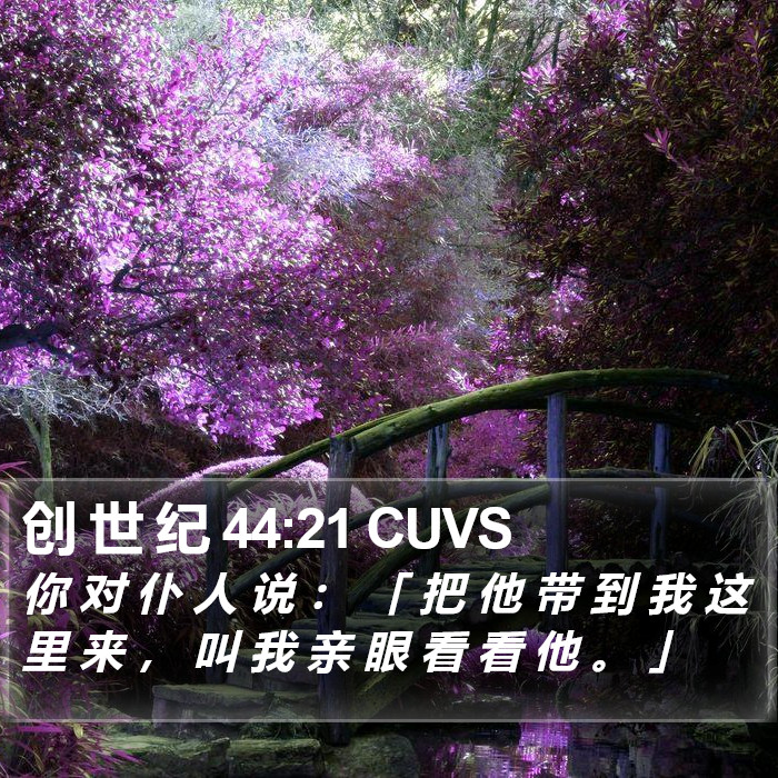 创 世 纪 44:21 CUVS Bible Study