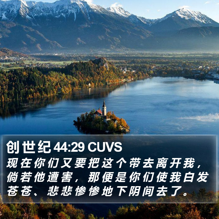 创 世 纪 44:29 CUVS Bible Study