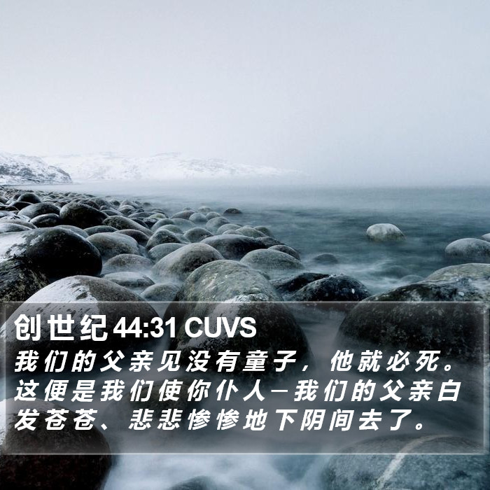 创 世 纪 44:31 CUVS Bible Study