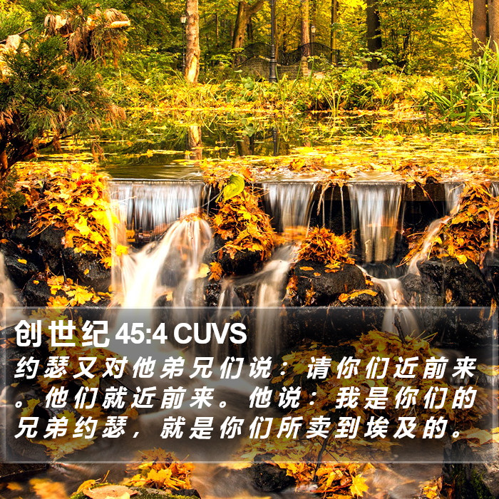 创 世 纪 45:4 CUVS Bible Study