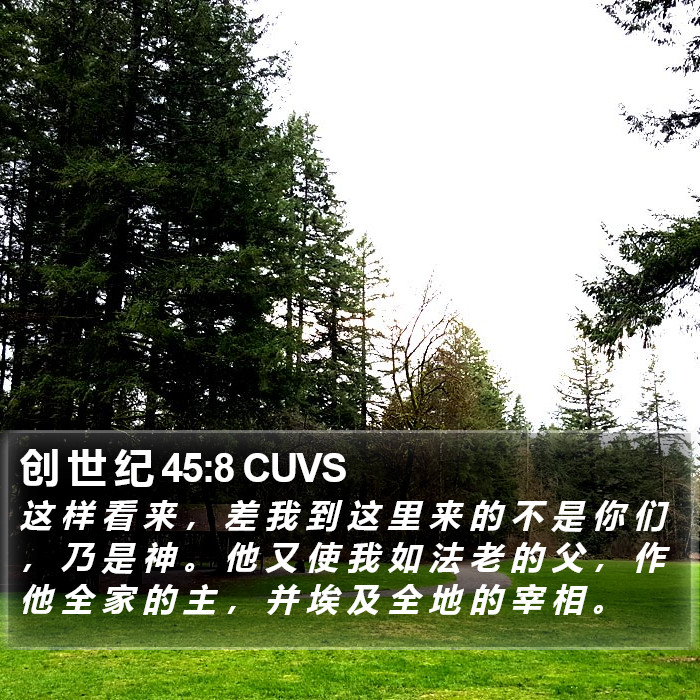 创 世 纪 45:8 CUVS Bible Study