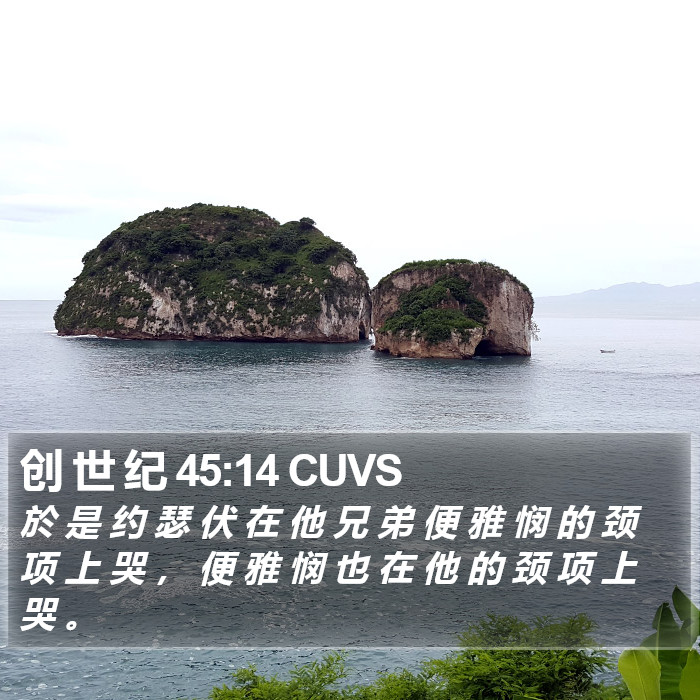 创 世 纪 45:14 CUVS Bible Study