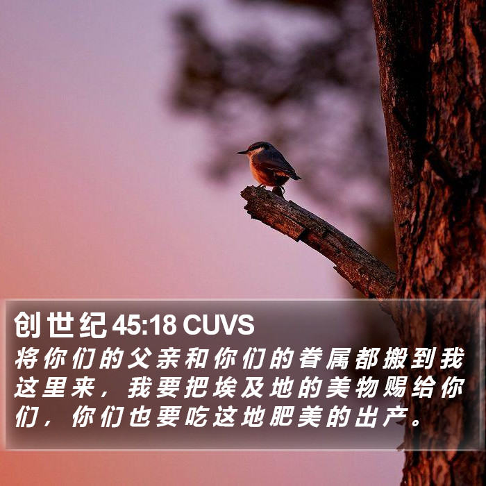 创 世 纪 45:18 CUVS Bible Study