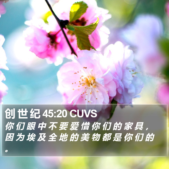 创 世 纪 45:20 CUVS Bible Study