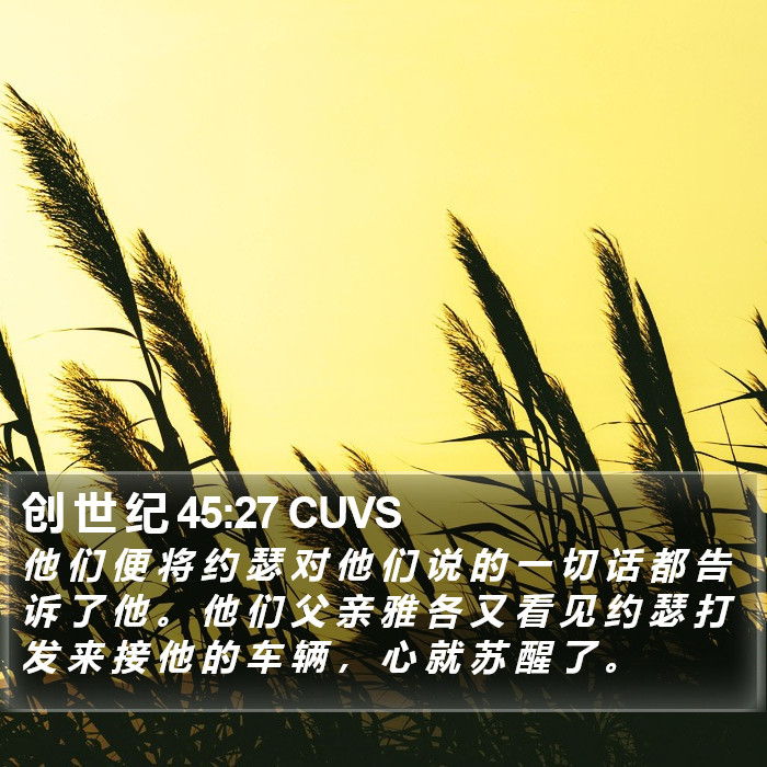 创 世 纪 45:27 CUVS Bible Study