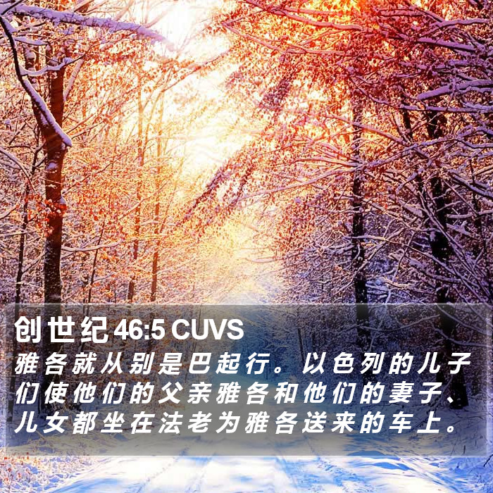 创 世 纪 46:5 CUVS Bible Study