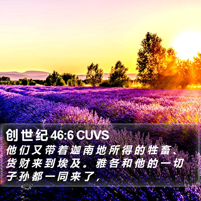 创 世 纪 46:6 CUVS Bible Study