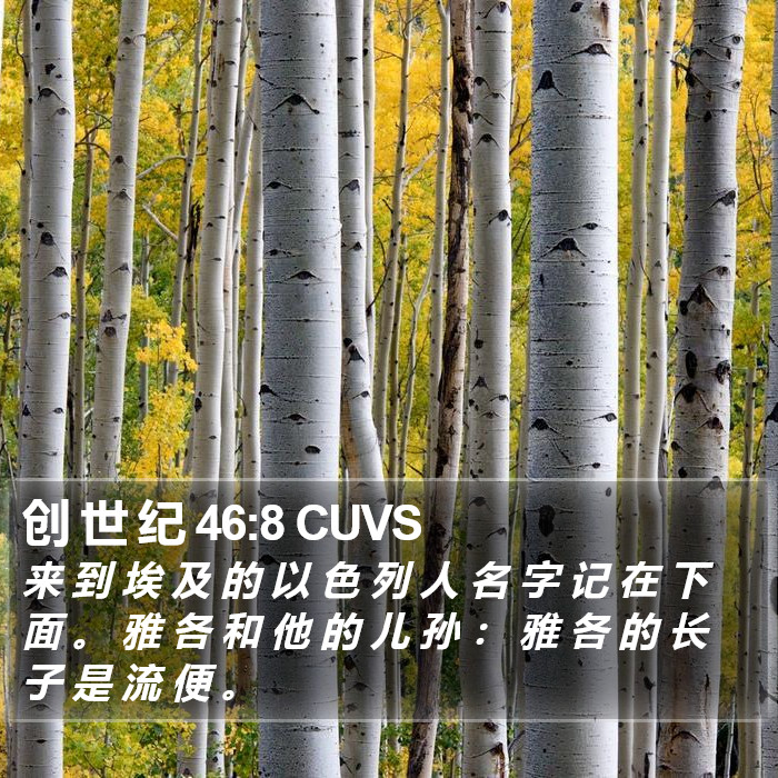 创 世 纪 46:8 CUVS Bible Study