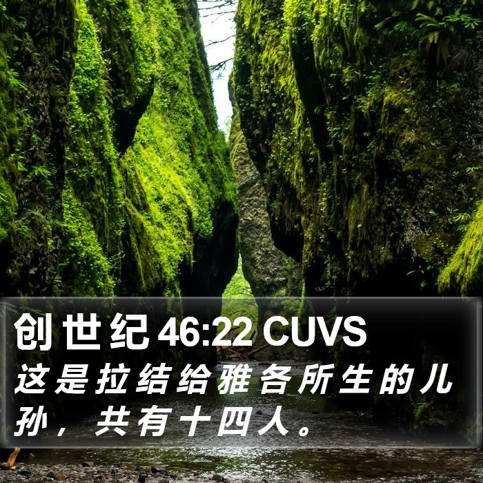 创 世 纪 46:22 CUVS Bible Study