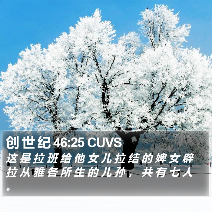 创 世 纪 46:25 CUVS Bible Study