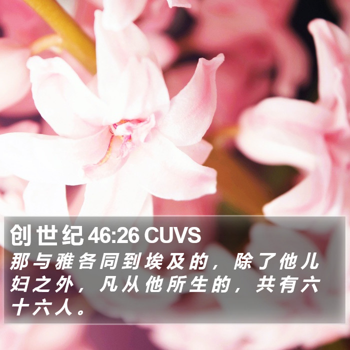 创 世 纪 46:26 CUVS Bible Study