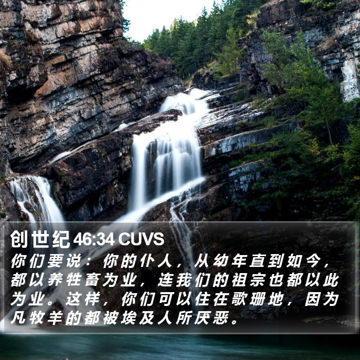 创 世 纪 46:34 CUVS Bible Study