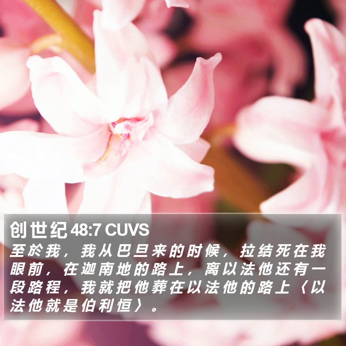 创 世 纪 48:7 CUVS Bible Study