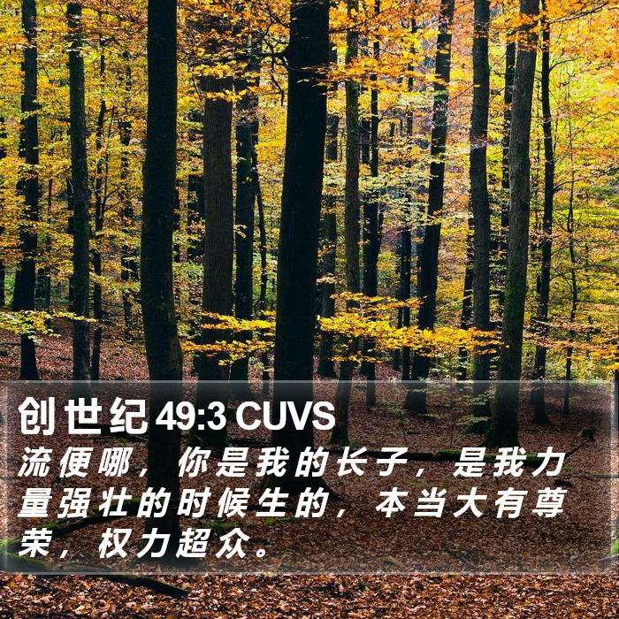 创 世 纪 49:3 CUVS Bible Study