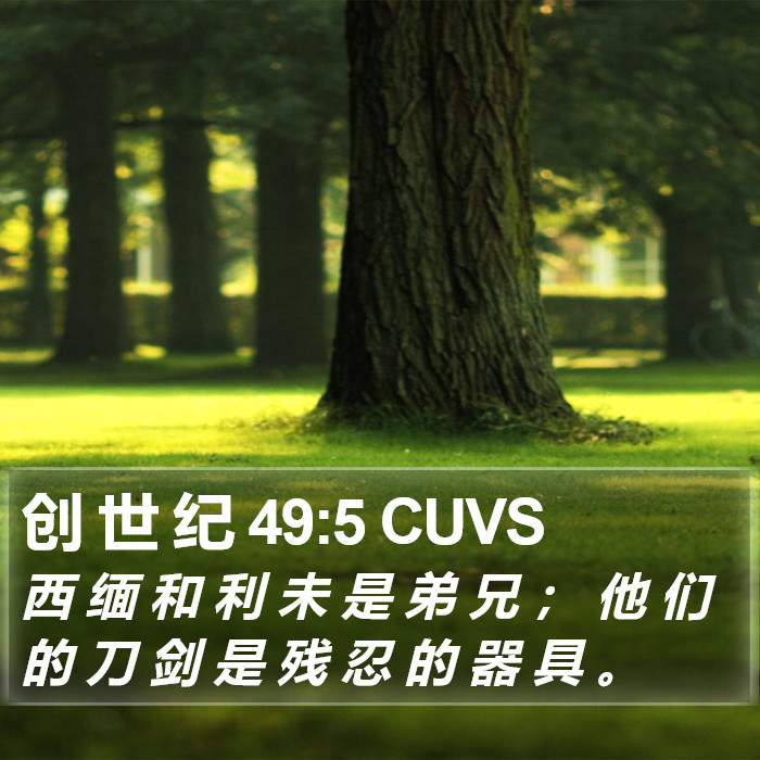 创 世 纪 49:5 CUVS Bible Study