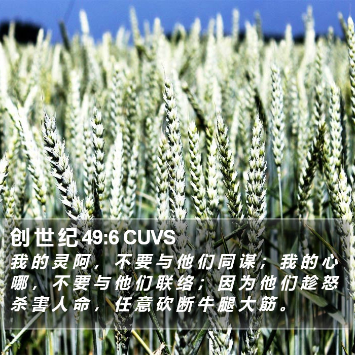 创 世 纪 49:6 CUVS Bible Study