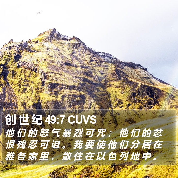 创 世 纪 49:7 CUVS Bible Study