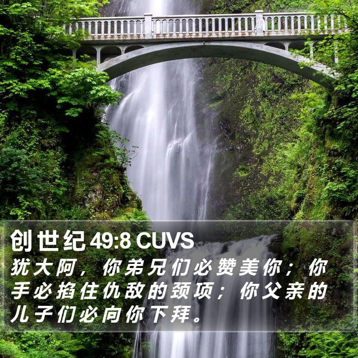 创 世 纪 49:8 CUVS Bible Study