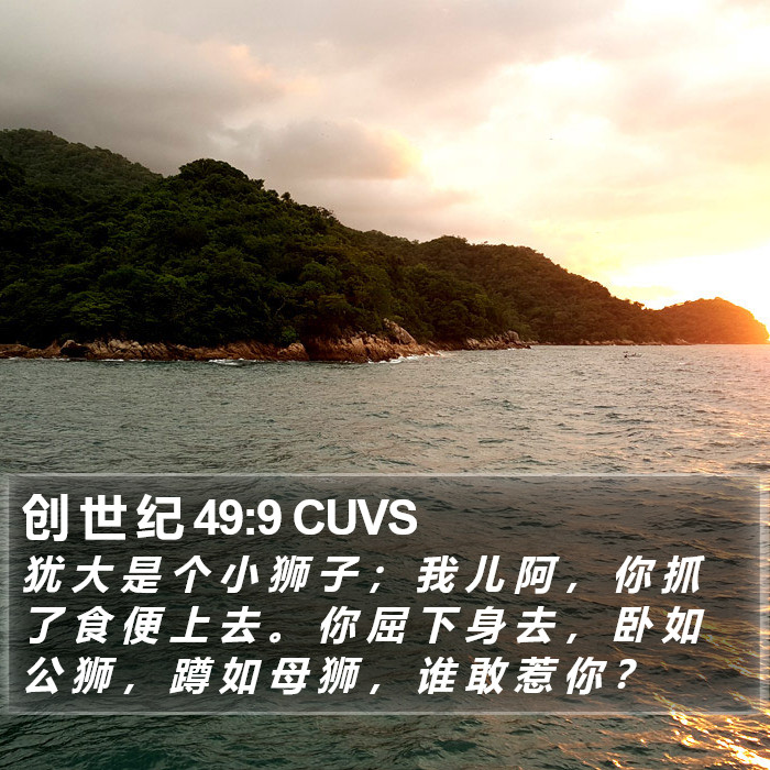 创 世 纪 49:9 CUVS Bible Study