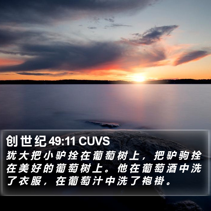 创 世 纪 49:11 CUVS Bible Study