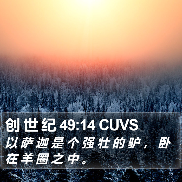 创 世 纪 49:14 CUVS Bible Study