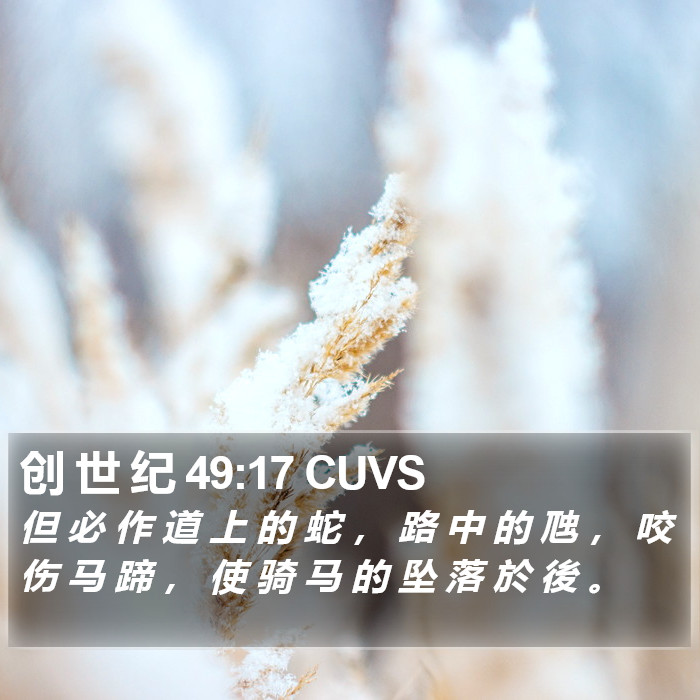 创 世 纪 49:17 CUVS Bible Study