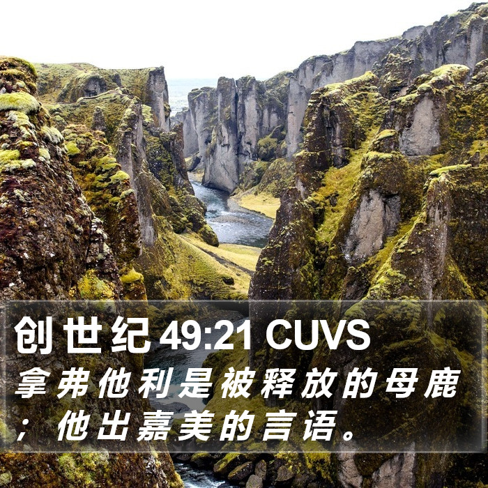 创 世 纪 49:21 CUVS Bible Study