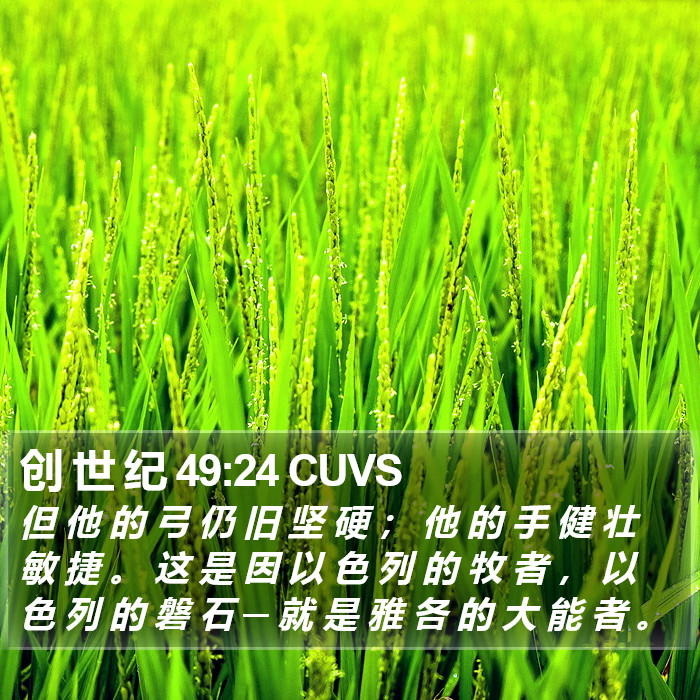 创 世 纪 49:24 CUVS Bible Study