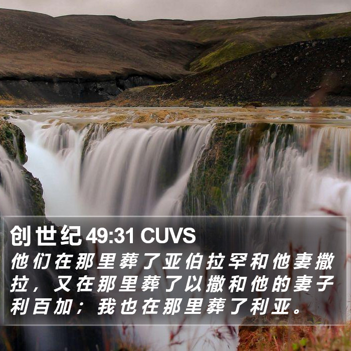 创 世 纪 49:31 CUVS Bible Study