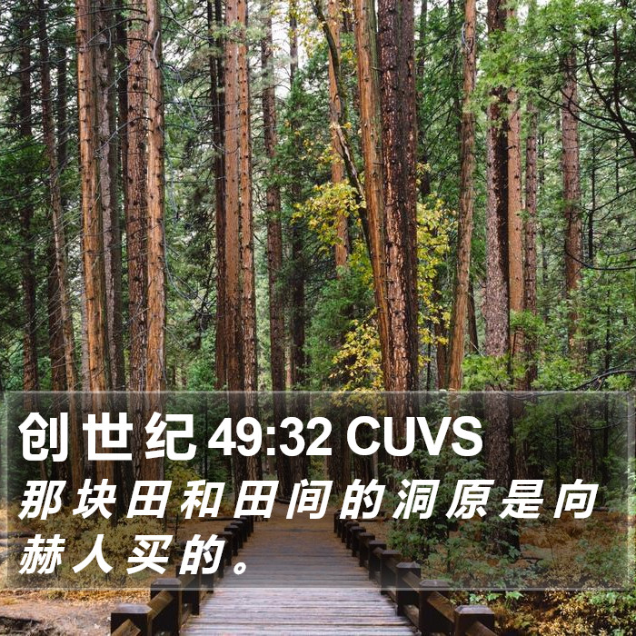 创 世 纪 49:32 CUVS Bible Study